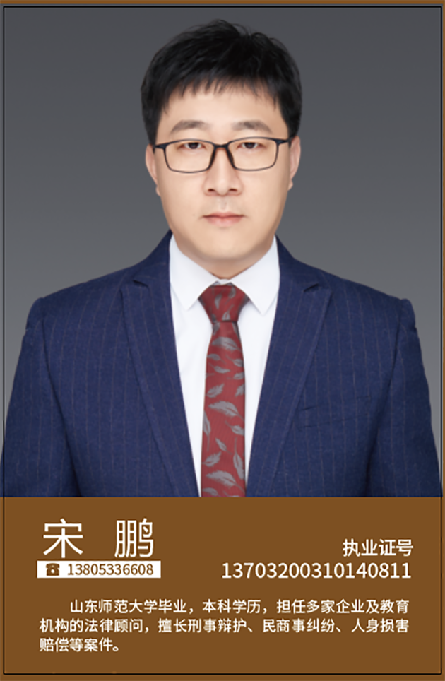 宋鹏(图1)