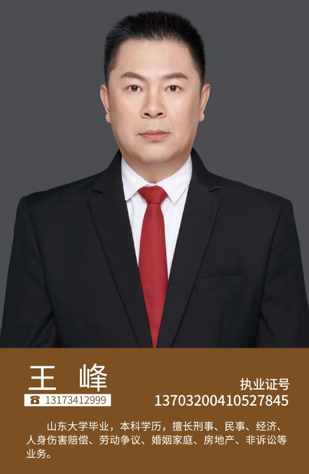 王峰(图1)