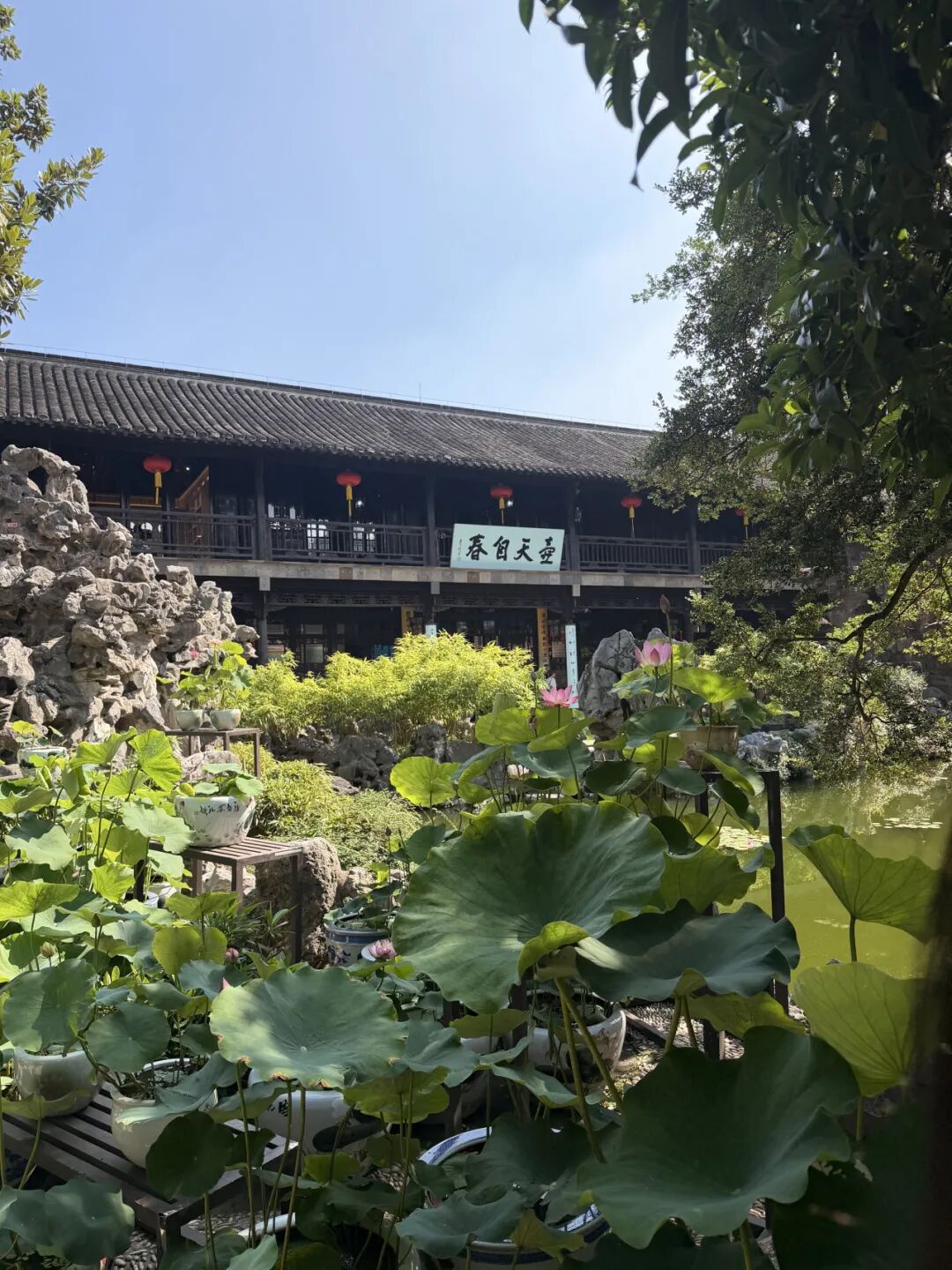 山东正大至诚律师事务所2026年半年总结圆满完成(图9)