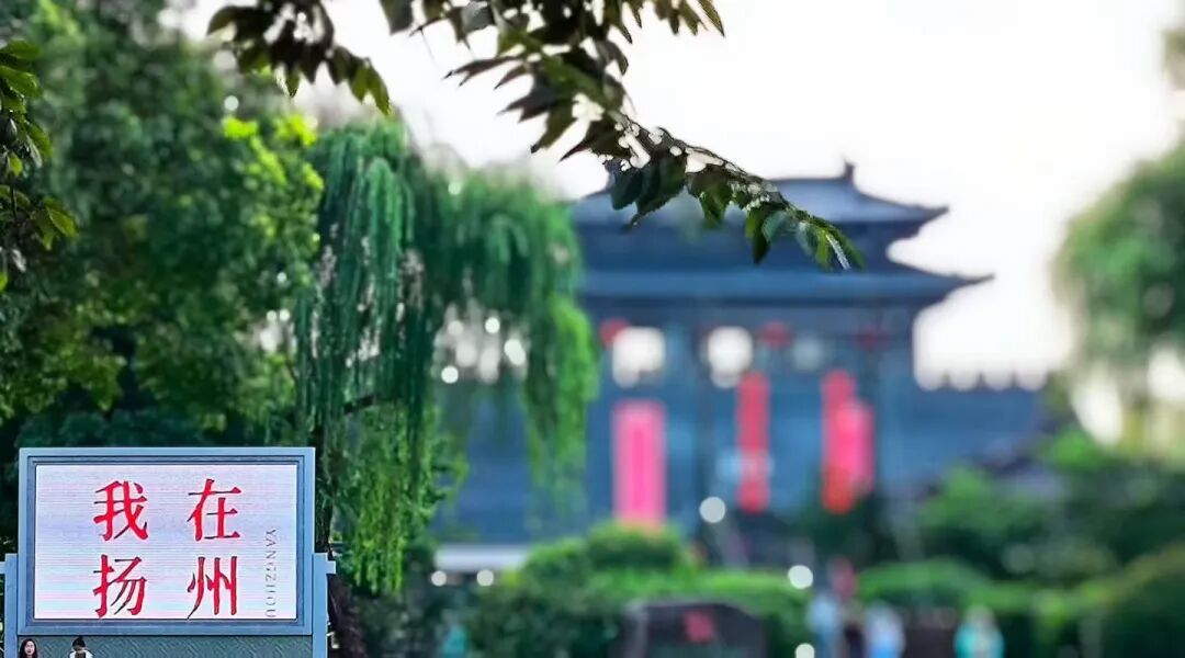 山东正大至诚律师事务所2026年半年总结圆满完成(图21)